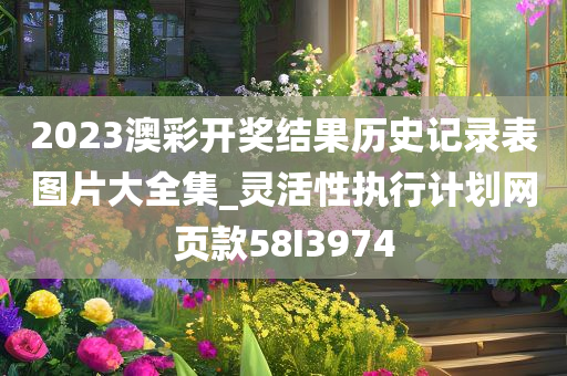 2023澳彩开奖结果历史记录表图片大全集_灵活性执行计划网页款58I3974