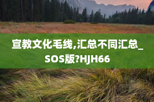 宣教文化毛线,汇总不同汇总_SOS版?HJH66