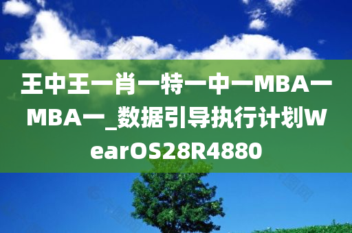 王中王一肖一特一中一MBA一MBA一_数据引导执行计划WearOS28R4880