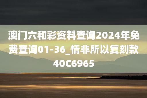 澳门六和彩资料查询2024年免费查询01-36_情非所以复刻款40C6965