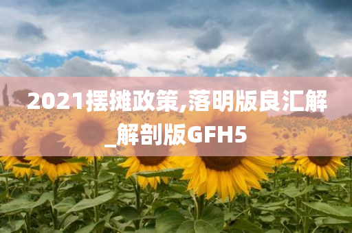 2021摆摊政策,落明版良汇解_解剖版GFH5