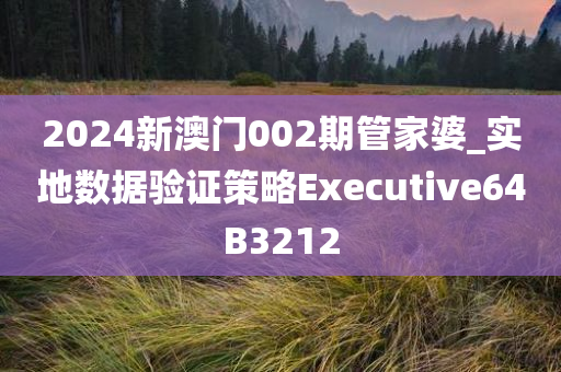 2024新澳门002期管家婆_实地数据验证策略Executive64B3212