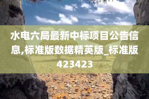 水电六局最新中标项目公告信息,标准版数据精英版_标准版423423