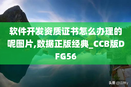 软件开发资质证书怎么办理的呢图片,数据正版经典_CCB版DFG56