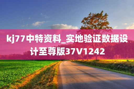 kj77中特资料_实地验证数据设计至尊版37V1242