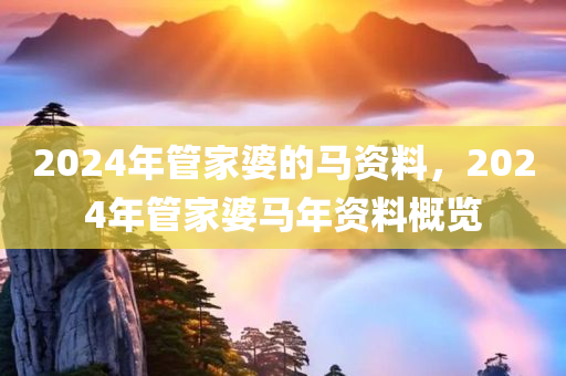 2024年管家婆的马资料，2024年管家婆马年资料概览