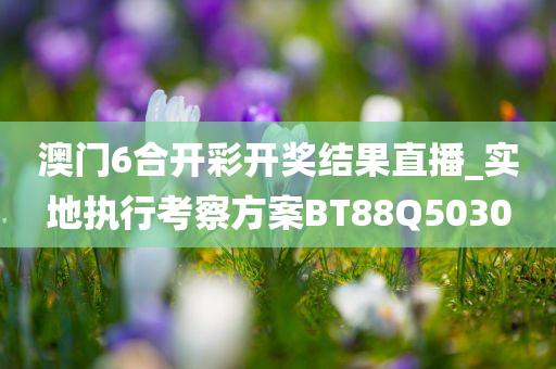 澳门6合开彩开奖结果直播_实地执行考察方案BT88Q5030