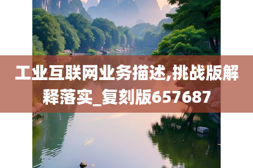 工业互联网业务描述,挑战版解释落实_复刻版657687