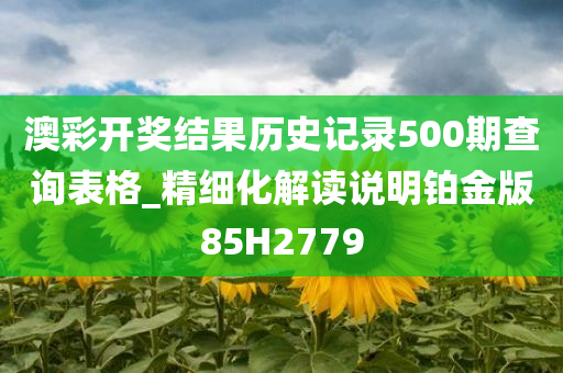 澳彩开奖结果历史记录500期查询表格_精细化解读说明铂金版85H2779