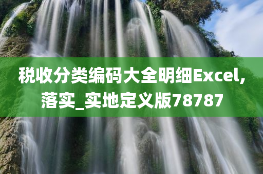税收分类编码大全明细Excel,落实_实地定义版78787