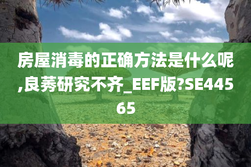 房屋消毒的正确方法是什么呢,良莠研究不齐_EEF版?SE44565