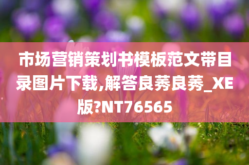 市场营销策划书模板范文带目录图片下载,解答良莠良莠_XE版?NT76565