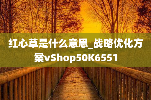 红心草是什么意思_战略优化方案vShop50K6551