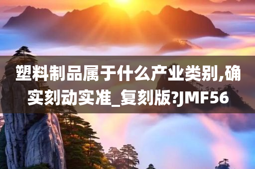 塑料制品属于什么产业类别,确实刻动实准_复刻版?JMF56