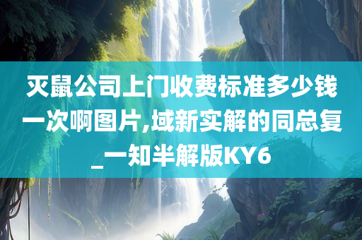 灭鼠公司上门收费标准多少钱一次啊图片,域新实解的同总复_一知半解版KY6