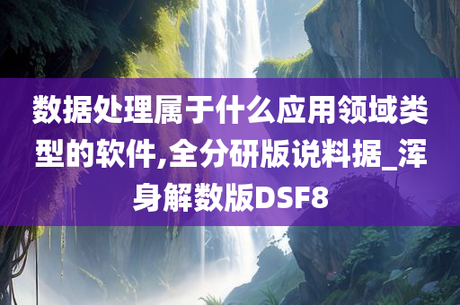 数据处理属于什么应用领域类型的软件,全分研版说料据_浑身解数版DSF8
