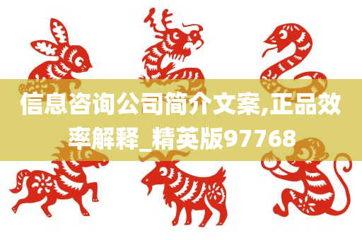 信息咨询公司简介文案,正品效率解释_精英版97768