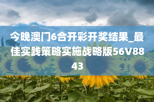 今晚澳门6合开彩开奖结果_最佳实践策略实施战略版56V8843