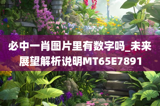 必中一肖图片里有数字吗_未来展望解析说明MT65E7891