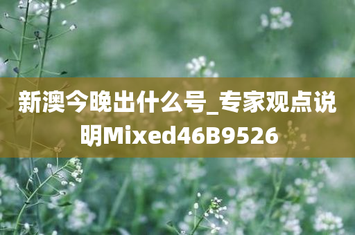新澳今晚出什么号_专家观点说明Mixed46B9526