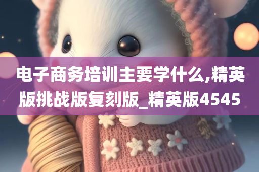 电子商务培训主要学什么,精英版挑战版复刻版_精英版4545