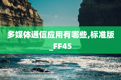 多媒体通信 第3页