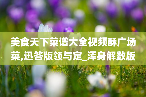 美食天下菜谱大全视频酥广场菜,迅答版领与定_浑身解数版