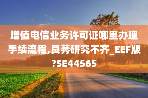 增值电信业务许可证哪里办理手续流程,良莠研究不齐_EEF版?SE44565