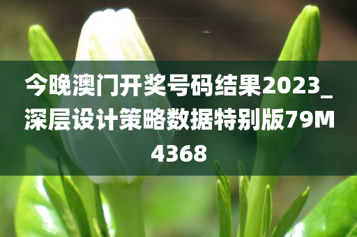 今晚澳门开奖号码结果2023_深层设计策略数据特别版79M4368