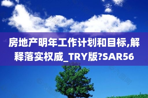 房地产明年工作计划和目标,解释落实权威_TRY版?SAR56