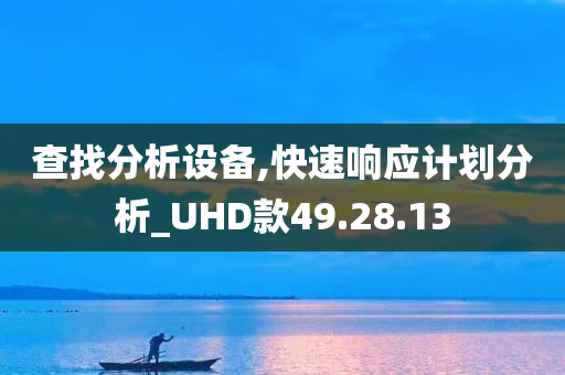 查找分析设备,快速响应计划分析_UHD款49.28.13