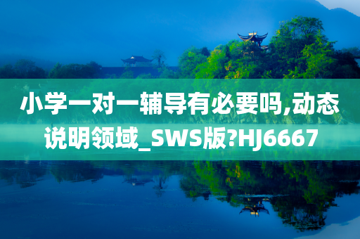 小学一对一辅导有必要吗,动态说明领域_SWS今晚必出三肖2025_2025新澳门精准免费提供·精确判断版?HJ6667