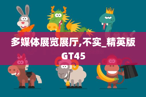多媒体展览展厅,不实_精英版GT45