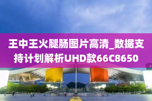 王中王火腿肠图片高清_数据支持计划解析UHD款66C8650