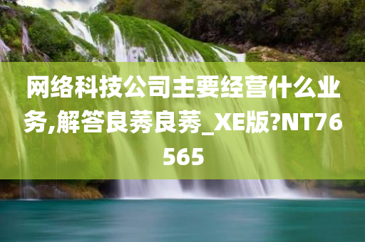 网络科技公司主要经营什么业务,解答良莠良莠_XE版?NT76565