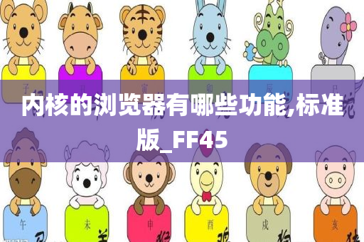 内核的浏览器有哪些功能,标准版_FF45