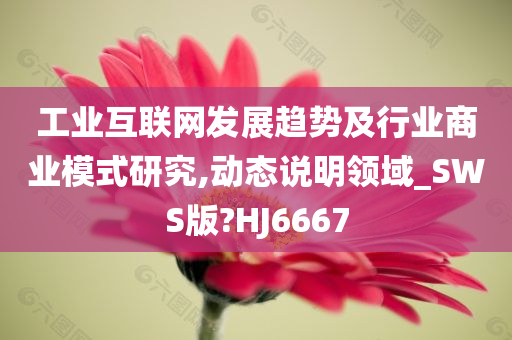 工业互联网发展趋势及行业商业模式研究,动态说明领域_SWS版?HJ6667