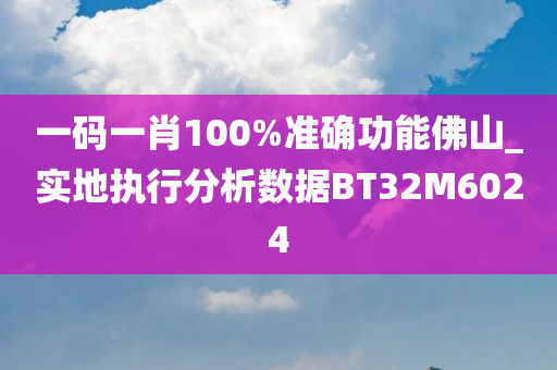 一码一肖100%准确功能佛山_实地执行分析数据BT32M6024