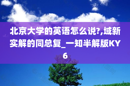 北京大学的英语怎么说?,域新实解的同总复_一知半解版KY6