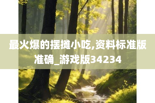 最火爆的摆摊小吃,资料标准版准确_游戏版34234