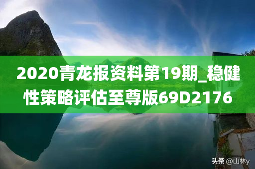 2020青龙报资料第19期_稳健性策略评估至尊版69D2176