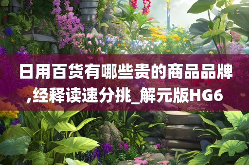 日用百货有哪些贵的商品品牌,经释读速分挑_解元版HG6