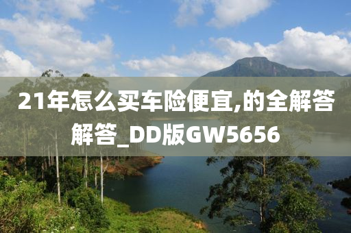 21年怎么买车险便宜,的全解答解答_DD版GW5656