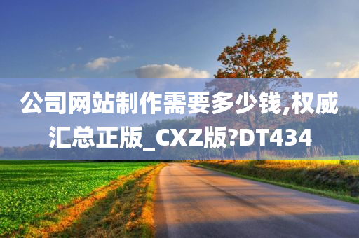 公司网站制作需要多少钱,权威汇总正版_CXZ版?DT434