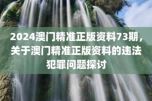 2024澳门精准正版资料73期，关于澳门精准正版资料的违法犯罪问题探讨