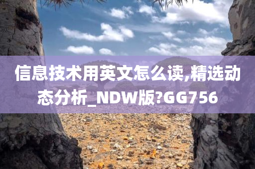 信息技术用英文怎么读,精选动态分析_NDW版?GG756今晚必出三肖2025_2025新澳门精准免费提供·精确判断