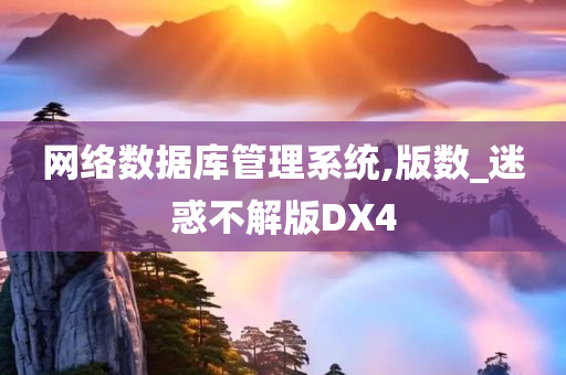 网络数据库管理系统,版数_迷惑不解版DX4