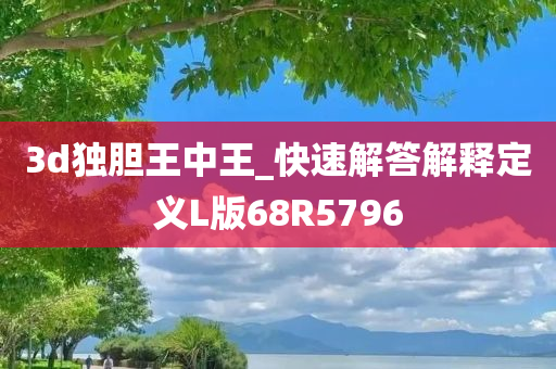 3d独胆王中王_快速解答解释定义L版68R5796