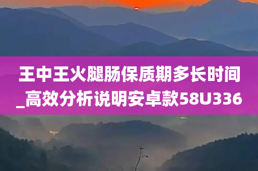 王中王火腿肠保质期多长时间_高效分析说明安卓款58U3360
