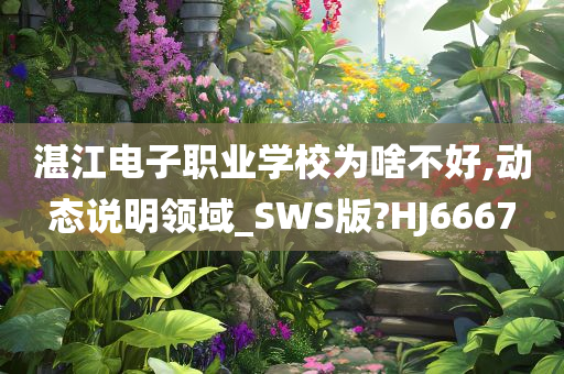 湛江电子职业学校为啥不好,动态说明领域_SWS版?HJ6667